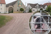 Vierjährige von Hund totgebissen: Ermittlungen gegen Mutter und Bekannten der Familie