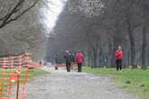 Mann entblößt sich im Großen Garten und belästigt Joggerin (18)