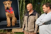 "Tierheimhelden": Süßer Terrier wird für Detlef Steves echte Herausforderung!