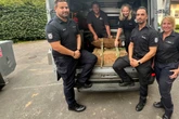 Zweieinhalb-Zentner-Bombe entschärft: Ordnungsamt-Mitarbeiter von Hund gebissen