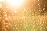 Horoskop morgen: Tageshoroskop kostenlos für den 26.6.2025