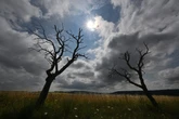 Wasserkrise durch Trockenheit: Klimawandel macht sich in Bayern bemerkbar