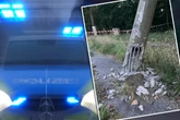 Zerstörung nahe Zollamt: Lkw-Fahrer kracht gegen Laterne