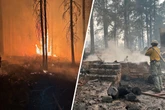 Verheerendes Feuer zerstört historische Grand Canyon Lodge