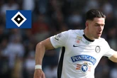 HSV-Blog: Bedienen sich die Rothosen bei einem Champions-League-Klub?