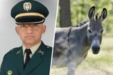 Guerilla-Kämpfer töten Soldaten mit Sprengstoff-Esel