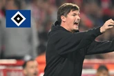 HSV-Blog: Polzin freut sich auf seltenen Anblick in Leipzig - Fans machen Red Bull Arena voll