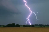 Hitze in Deutschland im Liveticker: Bis zu 42 Grad und heftige Unwetter möglich
