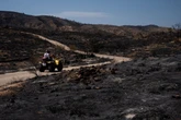 Nach verheerendem Waldbrand: Zahl der Toten auf 13 gestiegen