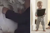Baby findet Foto und will es nicht mehr hergeben: Der Grund lässt Herzen schmelzen