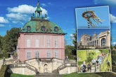 Raus ins Grüne: Mit diesen 8 Tipps wird Euer Sonntag richtig schön