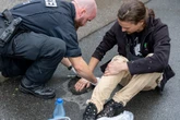 Aktivisten stürmen geschlossenen Zoo – zu spät: Mehrere Paviane inzwischen getötet