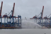 Feuer im Hamburger Hafen! Sechs Menschen müssen von Containerbrücke gerettet werden