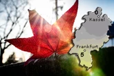Trübes Herbstwetter in Hessen: Kommt doch noch der Goldene Oktober?