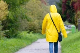 Zwischen Herbstzauber und Regenschirm: So wird das Wetter am Wochenende in Köln