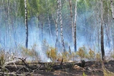 Waldbrand auf früherem Militärgelände in Brandenburg erloschen