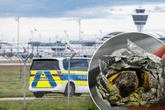 Tierquälerei am Flughafen: Landschildkröten mit Klebeband und Alufolie eingewickelt