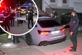 Große Drogenrazzia: 60 Polizisten mit Spürhunden stürmen Haus - Festnahme!