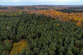 Bürger fällen knappes Urteil: NRW bekommt keinen zweiten Nationalpark!