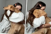 Golden Retriever wird gestreichelt: Was er dann tut, rührt jeden Hundeliebhaber zu Tränen