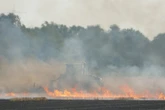 Mehr als zehn Hektar in Flammen: Feuerwehr kämpft gegen Feldbrand