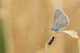 Geht raus und genießt die Sonne: Am Wochenende könnte es ungemütlich werden