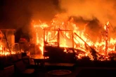 Flammen-Inferno in Hamburg: Gartenlauben brennen lichterloh