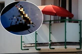 Riesiges Insekt auf Balkon versetzt Frau in Panik