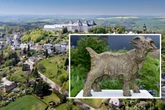 Kein Bock auf Purple Path - Augustusburg enthüllt eigenen "Platzhirsch"