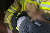 Tierischer Einsatz: Feuerwehr befreit flauschigen Nager von Hausdach