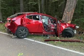 Frontal gegen Baum: Ersthelfer kommen nicht einmal an Fahrer (†29) ran