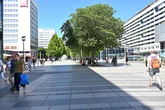 Prager Straße: Grünes Licht für die neuen Sitzbänke
