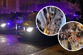 Ausschreitungen vor Finale: Fußball-Fans liefern sich wilde Schlägerei in Altstadt