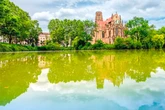 Hitzestress in Stuttgarter Seen: Warum das Wasser für Hunde zur Gefahr wird