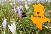 Wonne durch Sonne: Frühlingshaftes Wochenende in Sachsen-Anhalt