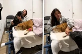 Besitzerin muss von Hund Abschied nehmen: Was ihr anderer Hund tut, treibt jedem Tränen in die Augen