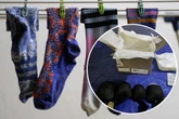 Tier-Missbrauch aufgeflogen: Mann schmuggelt über 850 Tiere in seinen Socken