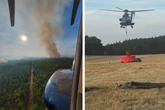 Waldbrand in der Gohrischheide: Hubschrauber der Bundespolizei leistet Unterstützung