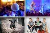 Messe, Konzert oder Speeddating: Diese Events hat Magdeburg am Sonntag zu bieten