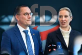 AfD gesichert rechtsextrem: Was bedeutet die neue Einstufung für Partei und Mitglieder?