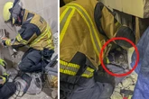 Zwischen zwei Garagen eingeklemmt: Schreiende Katze bringt Feuerwehr an ihre Grenzen