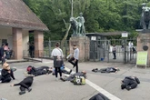 Zoo will gesunde Affen töten: Aktivisten kleben sich aus Protest fest