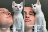 Mann adoptiert kleine Zwergkatze: Was dann aus ihr wird, verschlägt ihm die Sprache