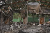 Nach Großbrand auf Bauernhof: Tierschützer finden überlebende Hühner in Brand-Ruine