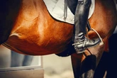 Reitunfall im Erzgebirge: Pferd wirft 22-Jährige ab
