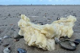 Schon wieder: Weiße Klumpen an Stränden von Nordseeinseln angespült