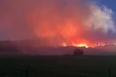 Großbrand in Rostock ausgebrochen: Müll-Sortieranlage in Flammen