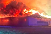 Flammeninferno kostet 20.000 Schweine das Leben: "Hat uns an unsere Grenzen gebracht"