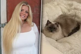 Frau schafft sich Katze an: Was bald darauf passiert, ist für sie total surreal