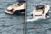 Mann wirft Hund von Jacht ins Meer und rast davon: Was dann passiert, erstaunt so viele
